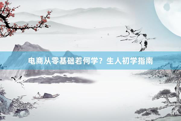 电商从零基础若何学？生人初学指南